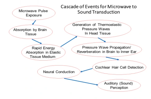 Review on Advanced Short-Range Multimode Continuous-Wave Radar Architectures for Healthcare Applications