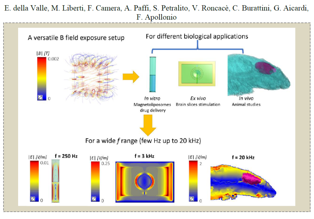 A Versatile Magnetic Exposure System for In-Vitro, Ex-Vivo and In-Vivo Experiments Finalized to Therapeutic Applications in the IF Range