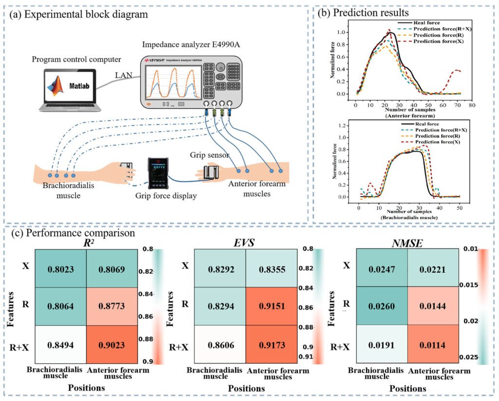 A Study of Handgrip Force Prediction Scheme Based on Electrical Impedance Myography