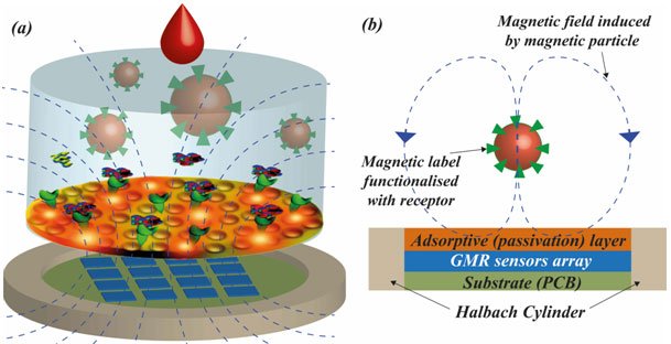 Magnetoresistive Biosensors for On-Chip Detection and Localisation of Paramagnetic Particles
