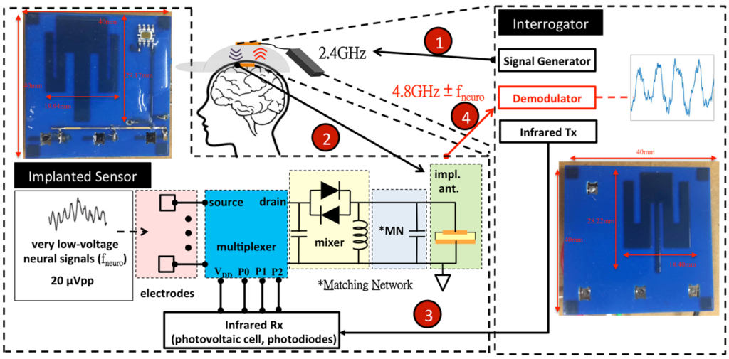 A Multi-Channel Passive Brain Implant for Wireless Neuropotential Monitoring