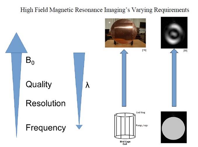 RF Aspects of High and Ultra High Field Magnetic Resonance Imaging [(U)HF-MRI]: Recent Advances