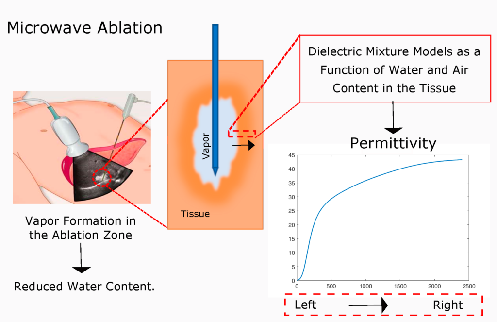 Development of Water Content Dependent Tissue Dielectric Property Models