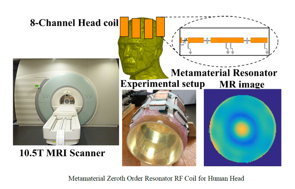 Metamaterial Zeroth Order Resonator RF Coil for Human Head: Preliminary design for 10.5T MRI