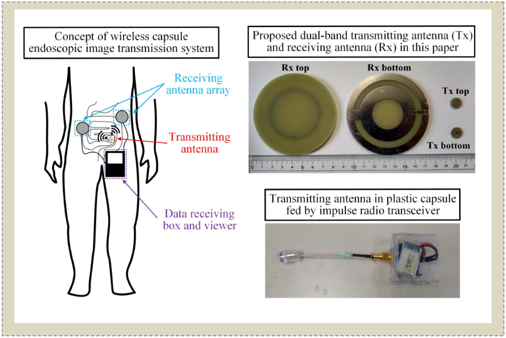 Dual-Band Antenna Design for Wireless Capsule Endoscopic Image Transmission in the MHz Band Based on Impulse Radio Technology