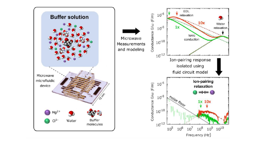 Measurement of Ion-Pairing Interactions in Buffer Solutions with Microwave Microfluidics