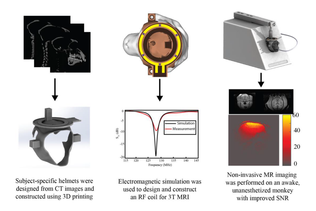 Subject-specific, Non-invasive Helmet-restraint RF Coil for Awake, Non-human Primate MR Imaging