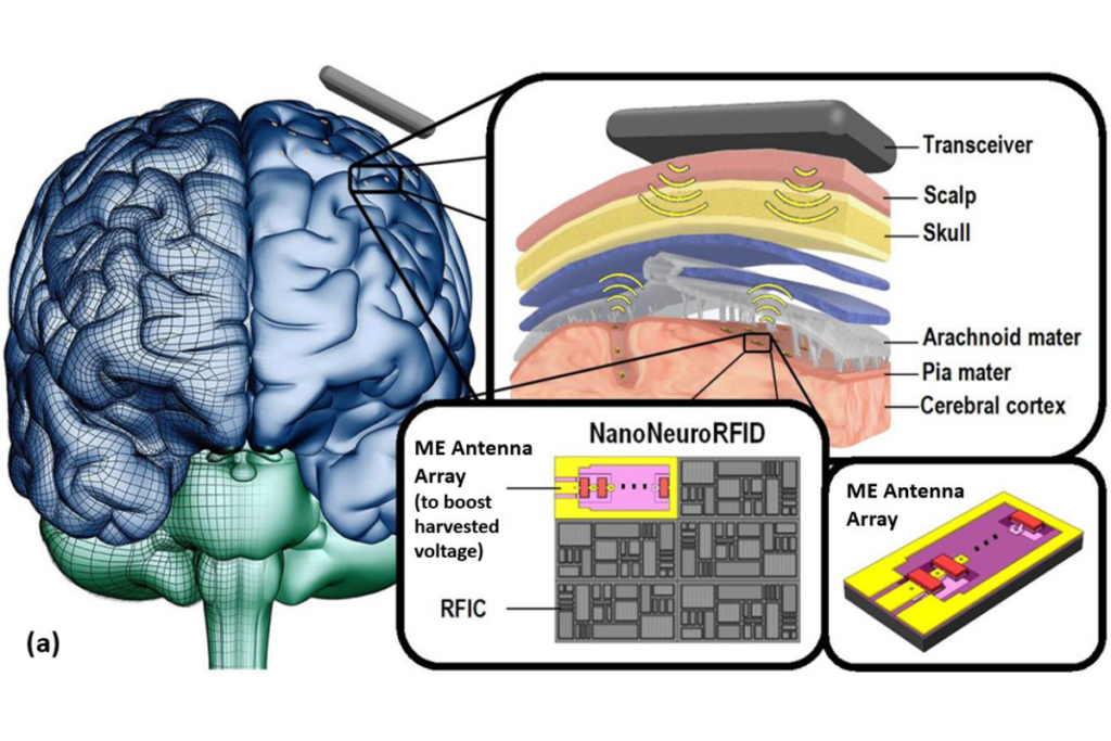 NanoNeuroRFID: A Wireless Implantable Device Based on Magnetoelectric Antennas