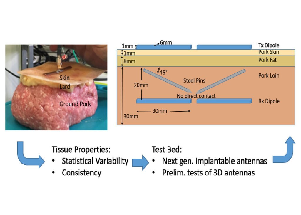 A Layered Pork Model for Subdermal Antenna Tests at 433 MHz