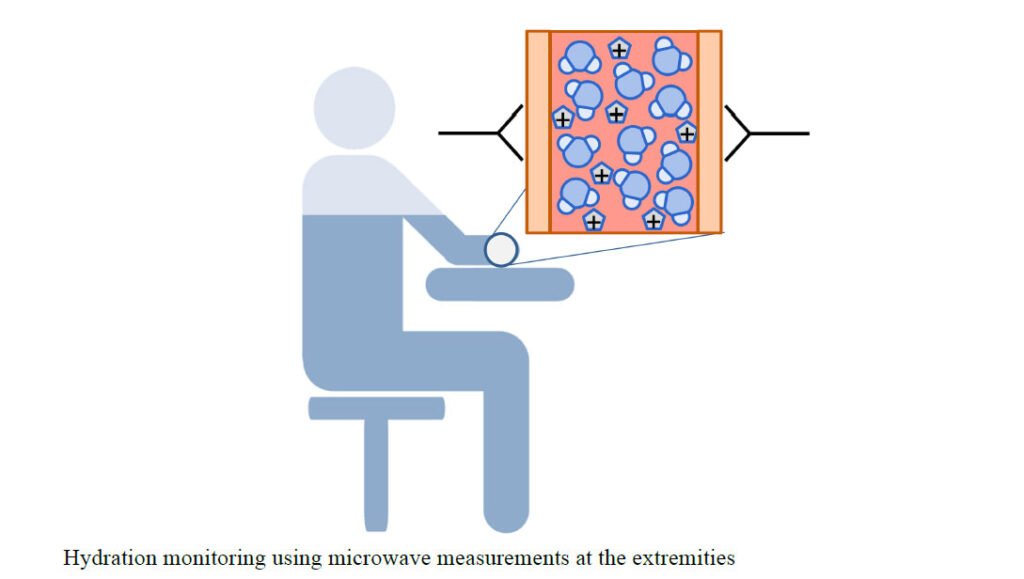 Feasibility Study of Hydration Monitoring using Microwaves Part 1: A Model of Microwave Property Changes with Dehydration