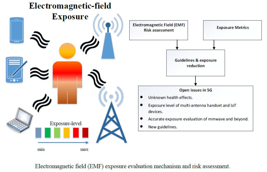 A Survey on Electromagnetic Risk Assessment and Evaluation Mechanism for Future Wireless Communication Systems