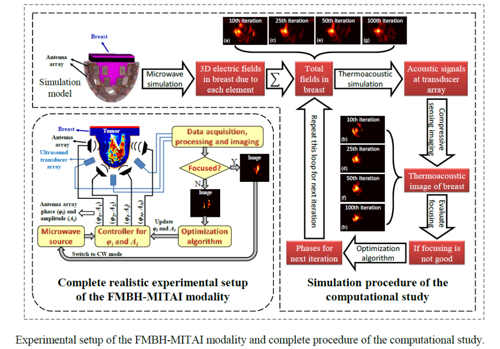 Focused Microwave Breast Hyperthermia Monitored by Thermoacoustic Imaging: A Computational Feasibility Study Applying Realistic Breast Phantoms