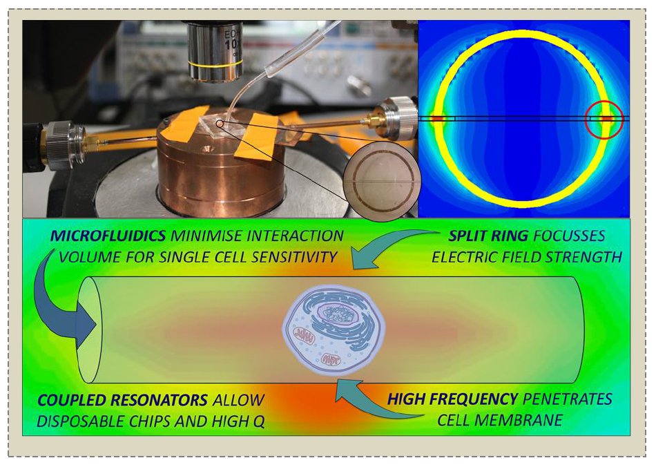 Microwave Dielectric Sensing of Free-Flowing, Single, Living Cells in Aqueous Suspension