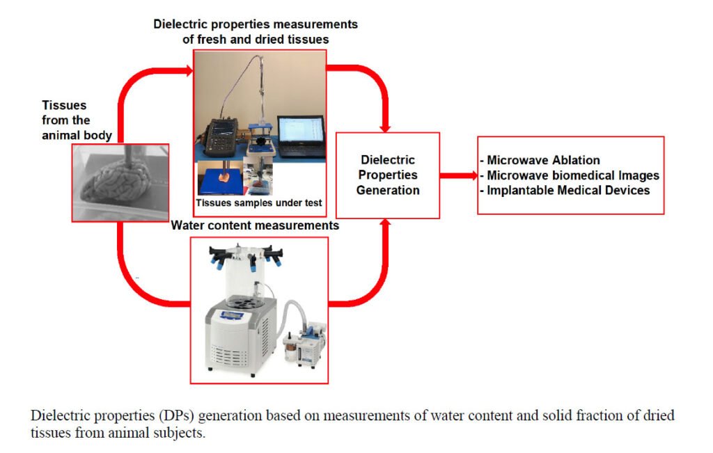Using Dielectric Properties of Solid Fraction and Water Content to Characterize Tissues at Different Health and Age Conditions