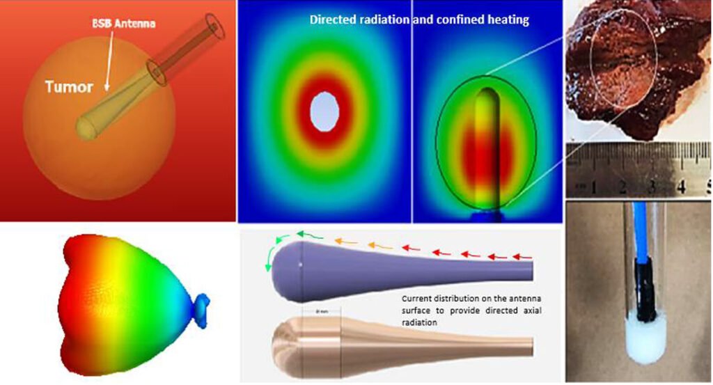 Realization and Experimental Assessment of Baseball-Bat Microwave Antenna for Low Power Cancer Ablation
