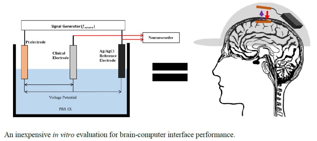 An invivo-mimickingIn vitrotestbed for brain-computer interfaces