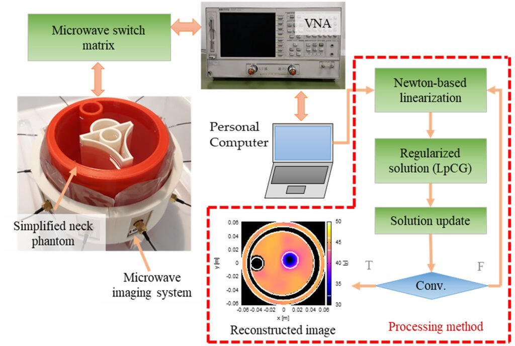 Microwave Imaging for the Diagnosis of Cervical Diseases: A Feasibility Analysis