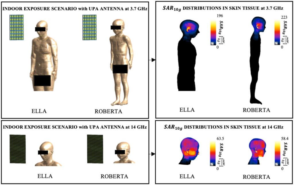 Human RF-EMF Exposure Assessment Due to Access Point in Incoming 5G Indoor Scenario