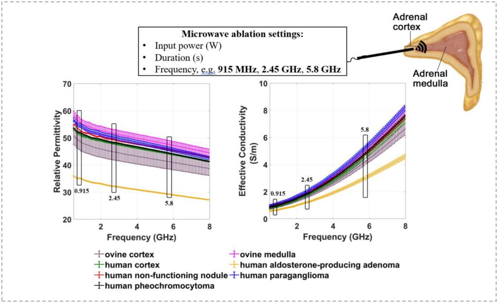 Dielectric Characterization of Ex Vivo Ovine and Human Adrenal Glands for Microwave Thermal Ablation Applications
