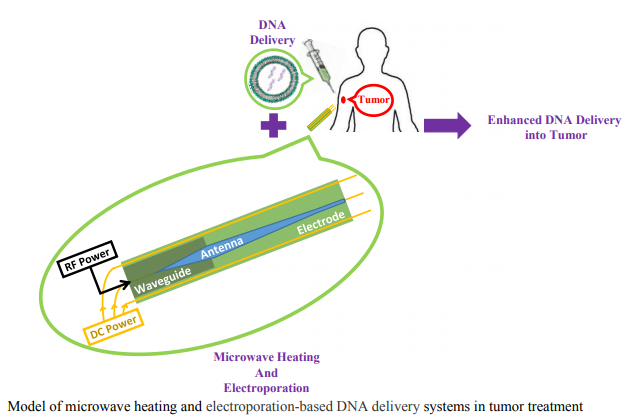An X-Band Dielectric Rod Antenna for Subdermal Tumor Heating to Assist Electroporation-Mediated DNA Delivery
