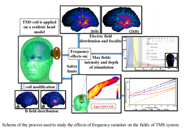 Effects of Frequency on the Induced Fields of Deep Transcranial Magnetic Stimulation Systems: A Numerical Case Study