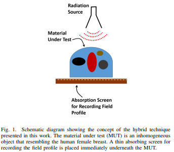 A Microwave-Thermography Hybrid Technique for Breast Cancer Detection