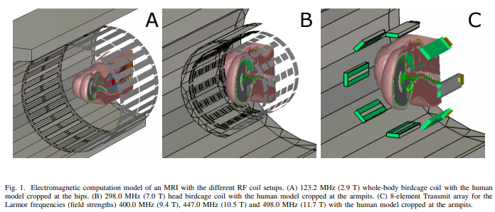 Comparison of time and frequency domain solvers for magnetic resonance coils at different field strengths using a single computational platform