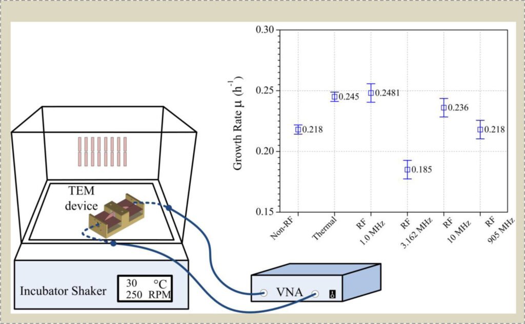 A Systematic Method to Explore Radio-Frequency Non-Thermal Effect on the Growth of Saccharomyces Cerevisiae