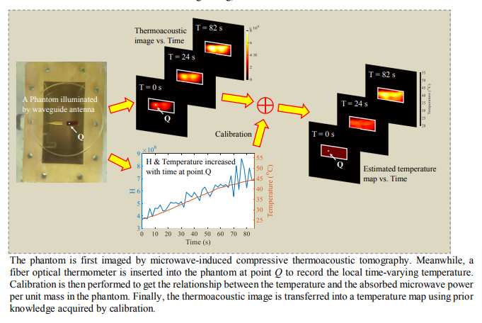 2-D Noninvasive Temperature Measurement of Biological Samples based on Compressive Thermoacoustic Tomography