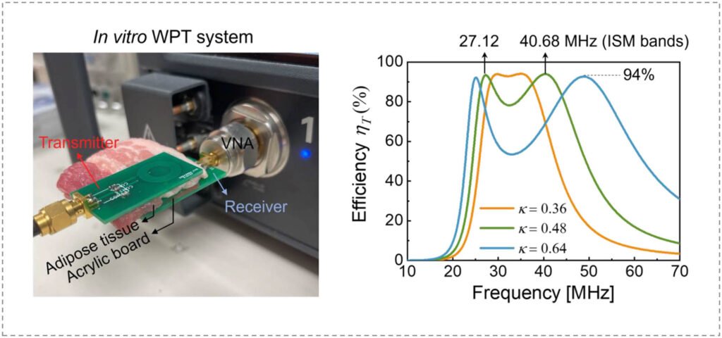 Multi-Band Parity-Time-Symmetric Wireless Power Transfer Systems for ISM-Band Bio-Implantable Applications