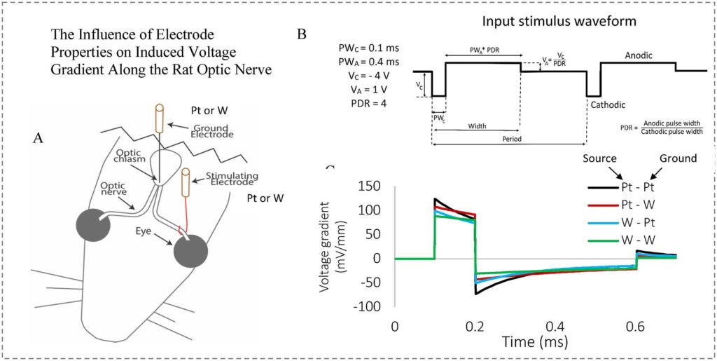 The Influence of Electrode Properties on Induced Voltage Gradient Along the Rat Optic Nerve
