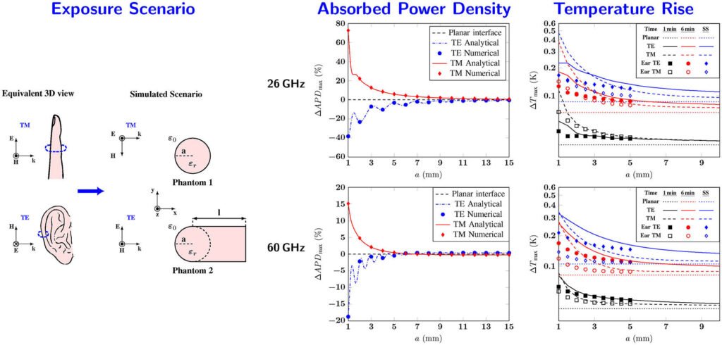 Exposure Levels Induced in Curved Body Parts at mmWaves
