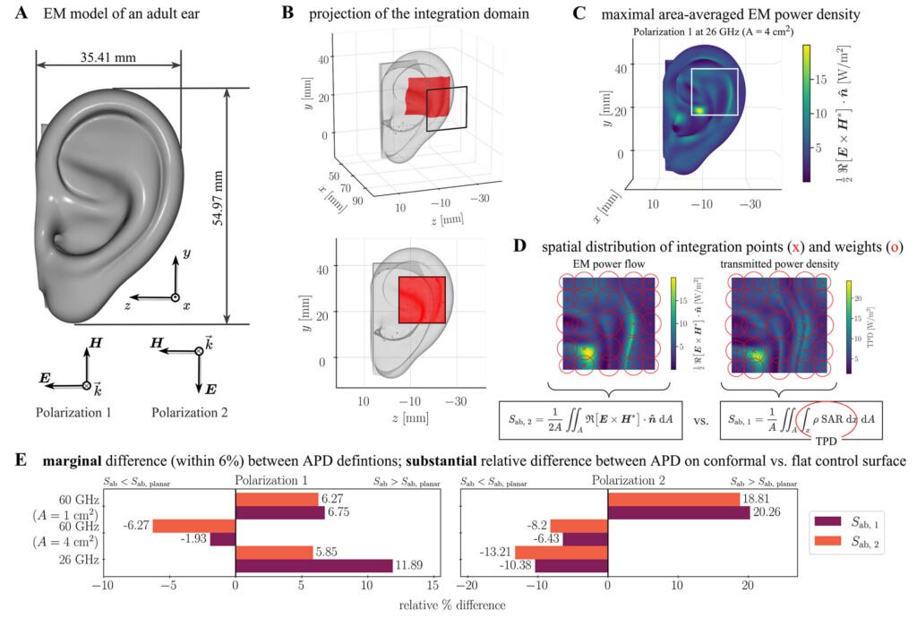 Area-Averaged Transmitted and Absorbed Power Density on a Realistic Ear Model