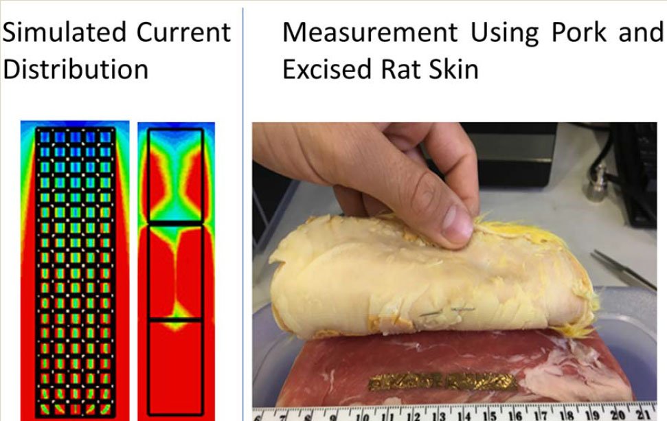 A Comparison of Solid, Mesh, and Segmented Strip Dipoles in a Subdermal Environment