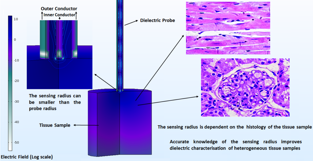 Quantification of the Sensing Radius of a Coaxial Probe for Accurate Interpretation of Heterogeneous Tissue Dielectric Data