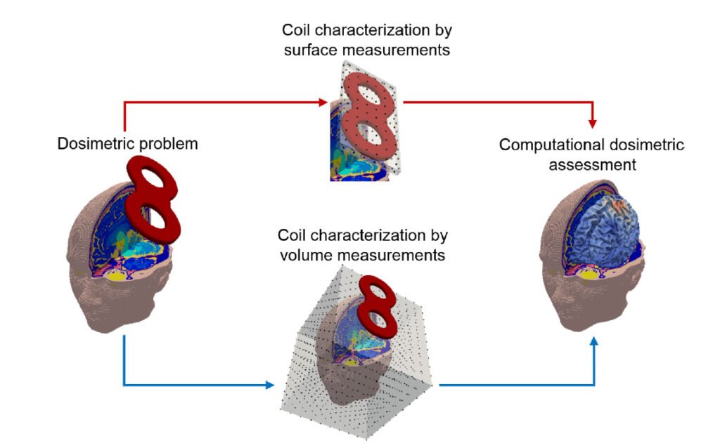 Computational Low Frequency Electromagnetic Dosimetry Based on Magnetic Field Measurements