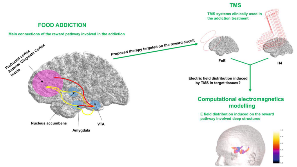 Deep transcranial magnetic stimulation for the addiction treatment: Electric field distribution modeling