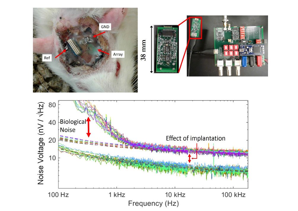 Impedance and Noise Characterizations of Utah and Microwire Electrode Arrays