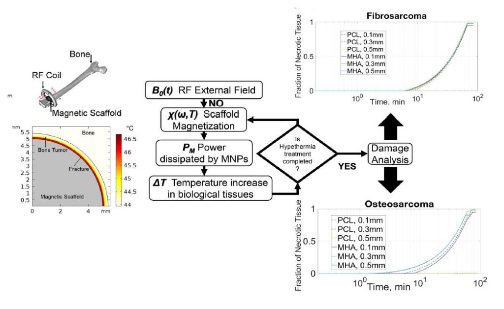 Numerical Investigation Of Bone Tumer Hyperthermia Treatment Using Magnetic Scaffolds