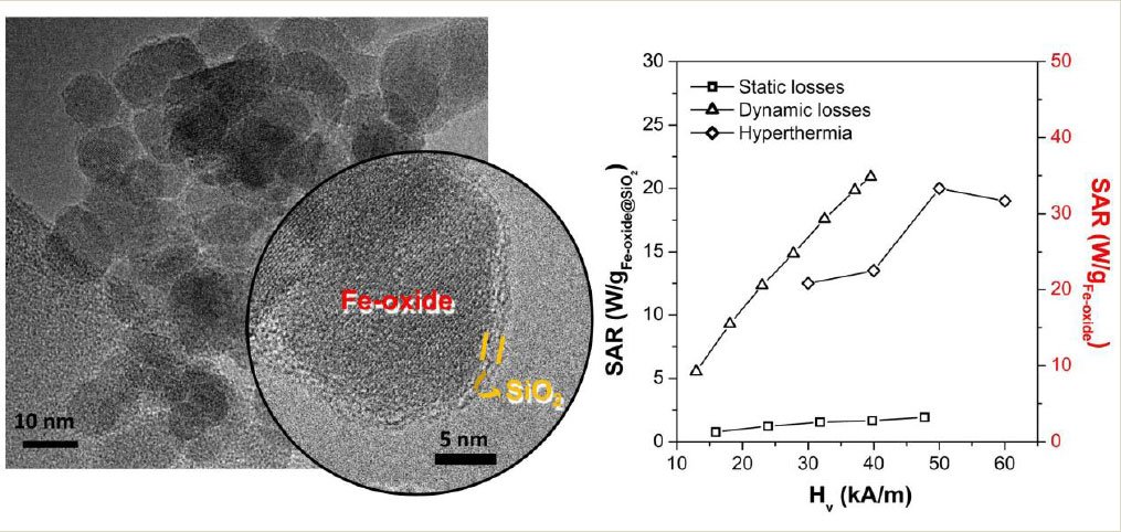 Magnetic and Thermal Characterization of Core-Shell Fe-oxide@SiO2Nanoparticles for Hyperthermia Applications