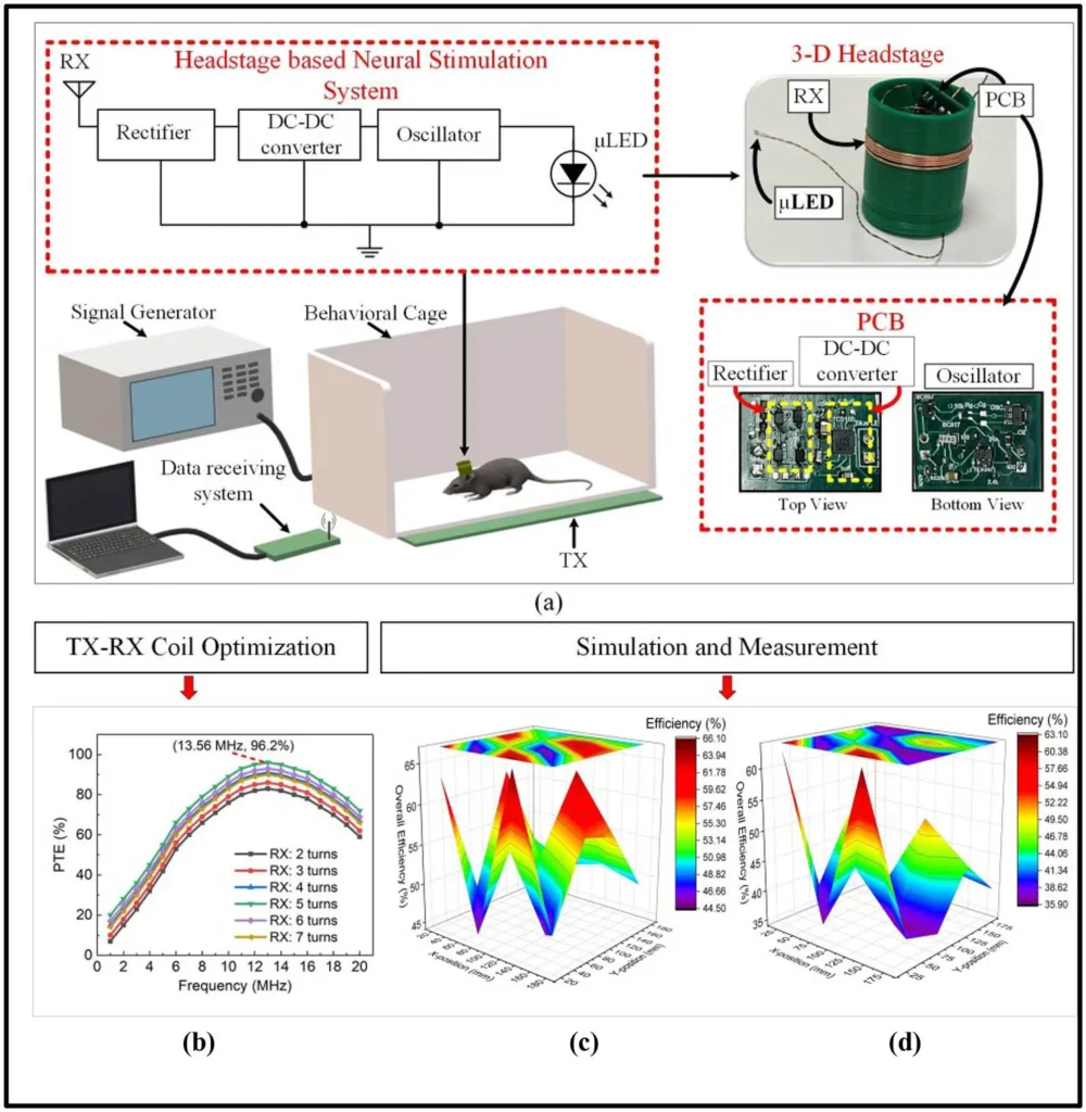Wirelessly Powered 3-D Printed Headstage Based Neural Stimulation System for Optogenetic Neuromodulation Application